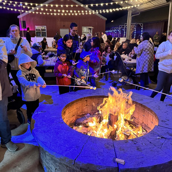 CHRISTMAS LIGHT SHOW & VILLAGE Skylands Stadium Skylands Stadium